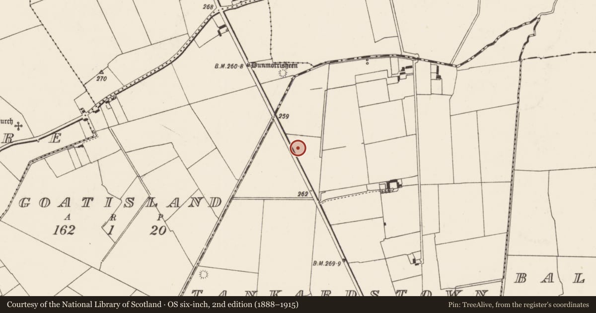 Ordnance Survey six-inch map, 2nd edition (1888–1915) covering the location of Earthwork, Tankardstown, County Limerick, with a pin at the register's coordinates