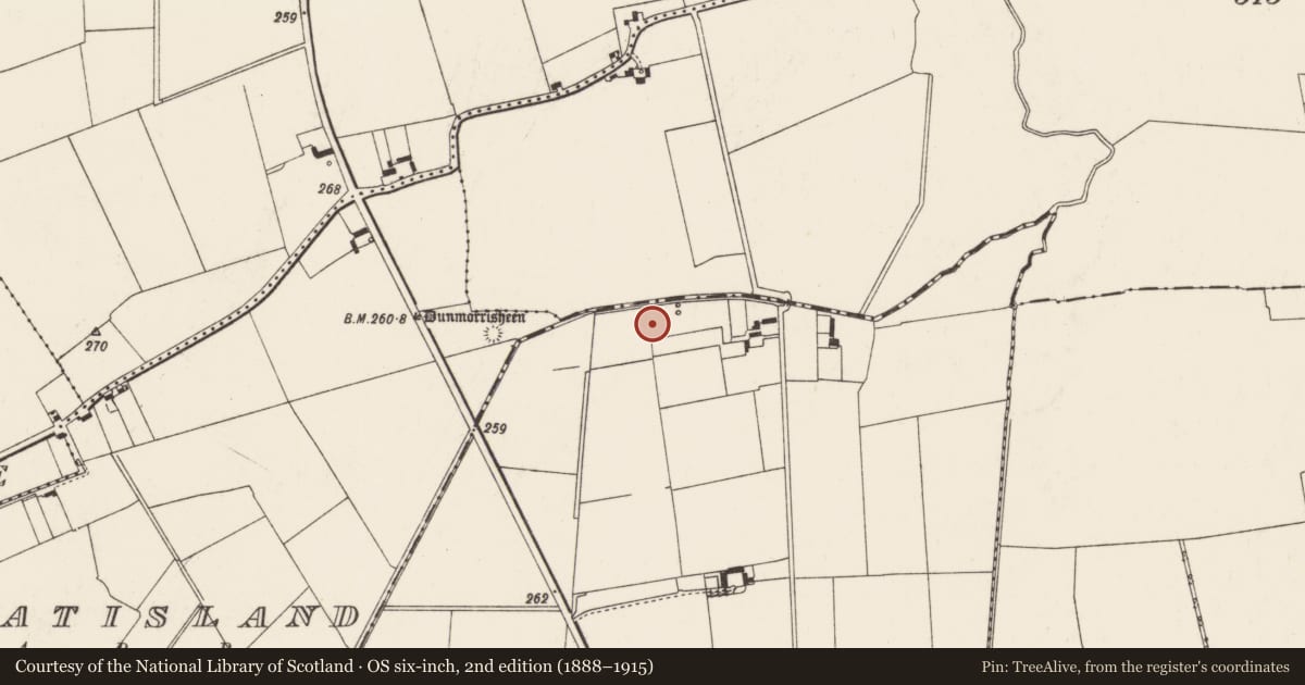 Ordnance Survey six-inch map, 2nd edition (1888–1915) covering the location of Earthwork, Tankardstown, County Limerick, with a pin at the register's coordinates