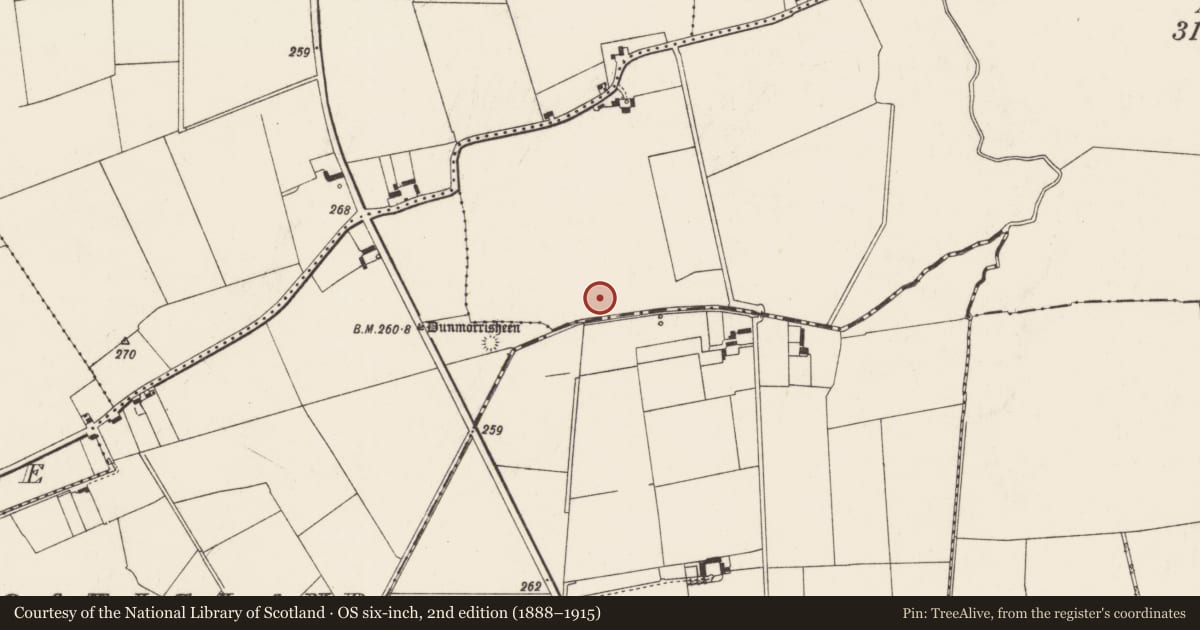 Ordnance Survey six-inch map, 2nd edition (1888–1915) covering the location of Mound, Ballyvulhane, County Limerick, with a pin at the register's coordinates
