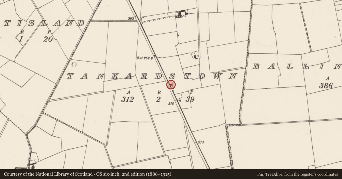 Ordnance Survey six-inch map, 2nd edition (1888–1915) covering the location of Earthwork, Tankardstown, County Limerick, with a pin at the register's coordinates