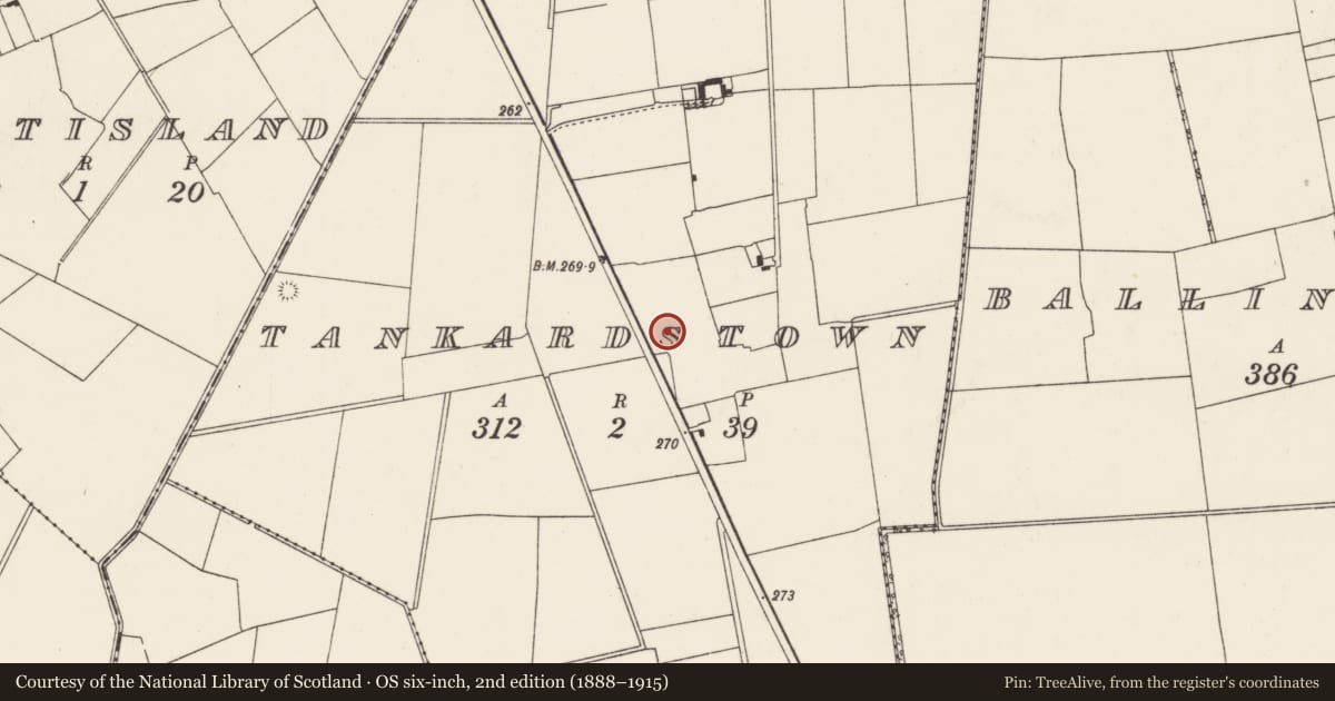 Ordnance Survey six-inch map, 2nd edition (1888–1915) covering the location of Enclosure, Tankardstown, County Limerick, with a pin at the register's coordinates