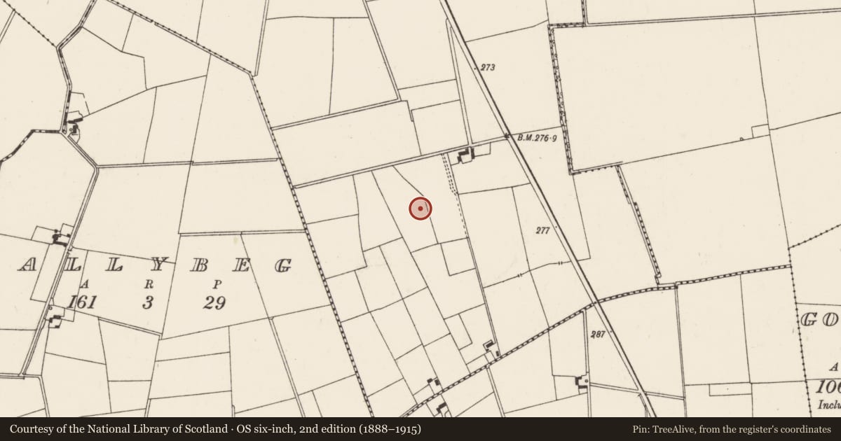 Ordnance Survey six-inch map, 2nd edition (1888–1915) covering the location of Earthwork, Tankardstown, County Limerick, with a pin at the register's coordinates