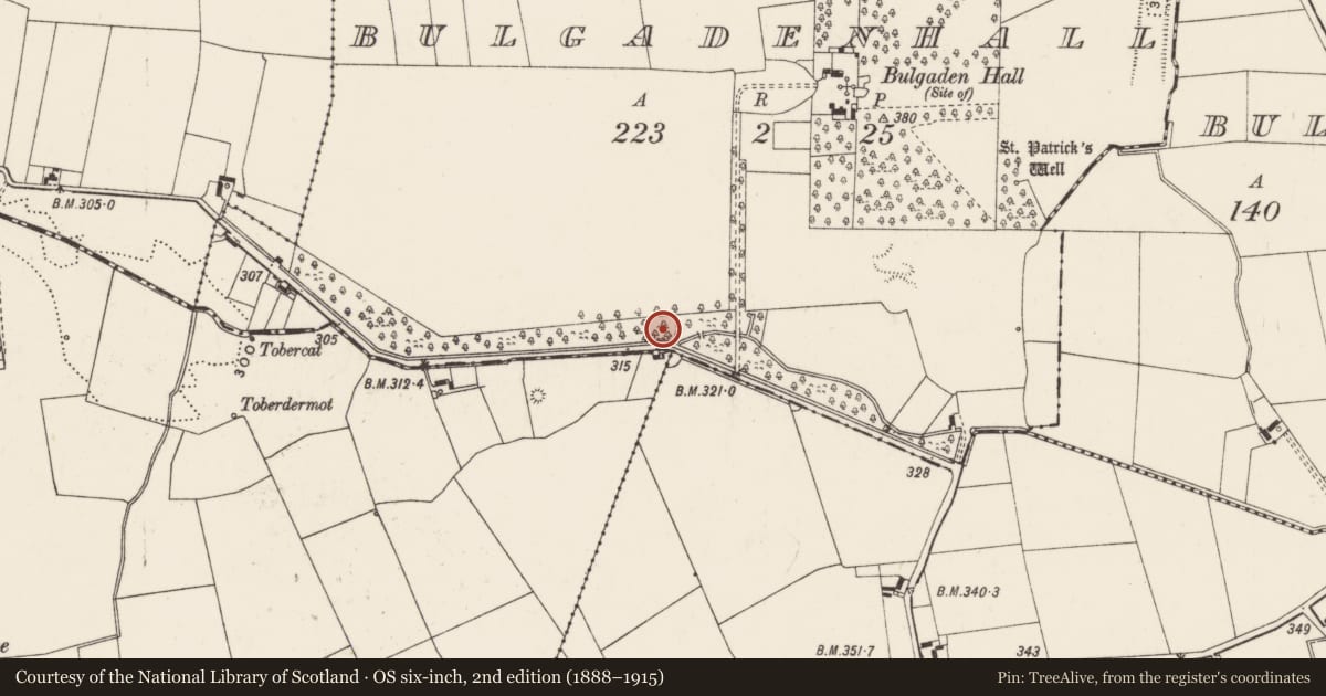 Ordnance Survey six-inch map, 2nd edition (1888–1915) covering the location of Earthwork, Bulgadenhall, County Limerick, with a pin at the register's coordinates