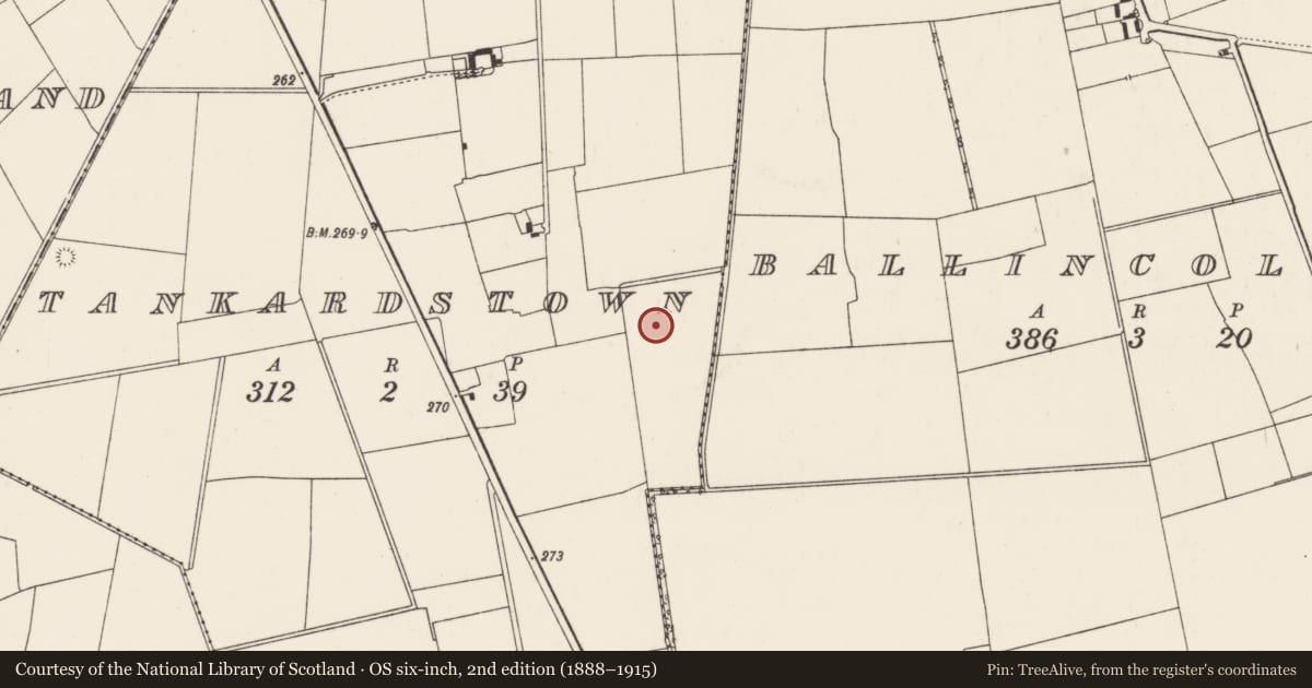 Ordnance Survey six-inch map, 2nd edition (1888–1915) covering the location of Barrow - unclassified, Tankardstown, County Limerick, with a pin at the register's coordinates
