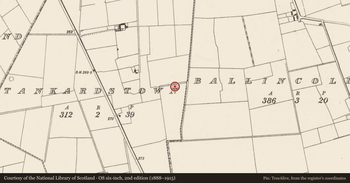 Ordnance Survey six-inch map, 2nd edition (1888–1915) covering the location of Barrow - ditch barrow, Tankardstown, County Limerick, with a pin at the register's coordinates