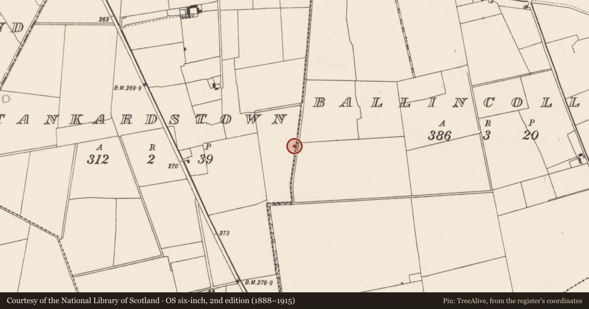Ordnance Survey six-inch map, 2nd edition (1888–1915) covering the location of Barrow - ditch barrow, Tankardstown, County Limerick, with a pin at the register's coordinates