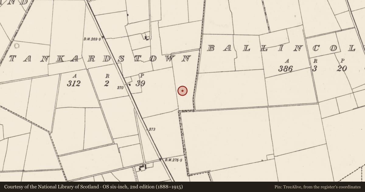 Ordnance Survey six-inch map, 2nd edition (1888–1915) covering the location of Barrow - ditch barrow, Tankardstown, County Limerick, with a pin at the register's coordinates