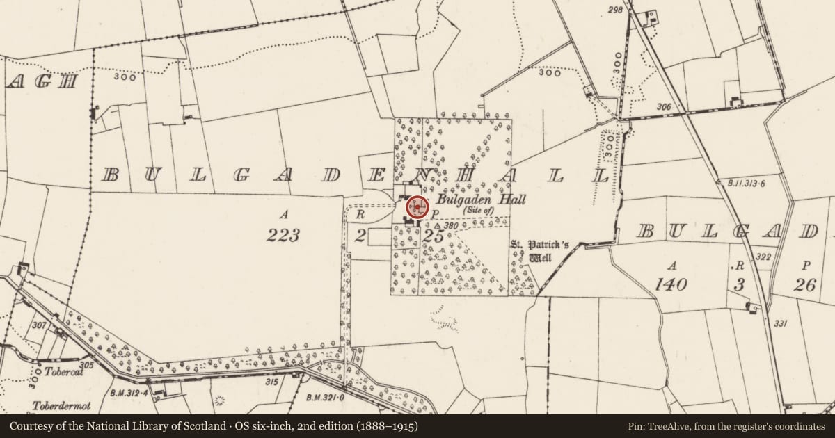 Ordnance Survey six-inch map, 2nd edition (1888–1915) covering the location of Castle - unclassified, Bulgadenhall, County Limerick, with a pin at the register's coordinates