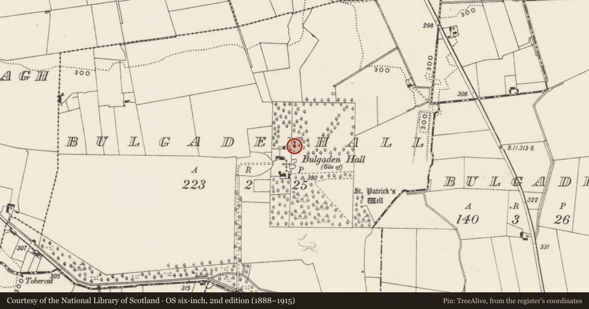 Ordnance Survey six-inch map, 2nd edition (1888–1915) covering the location of Earthwork, Bulgadenhall, County Limerick, with a pin at the register's coordinates