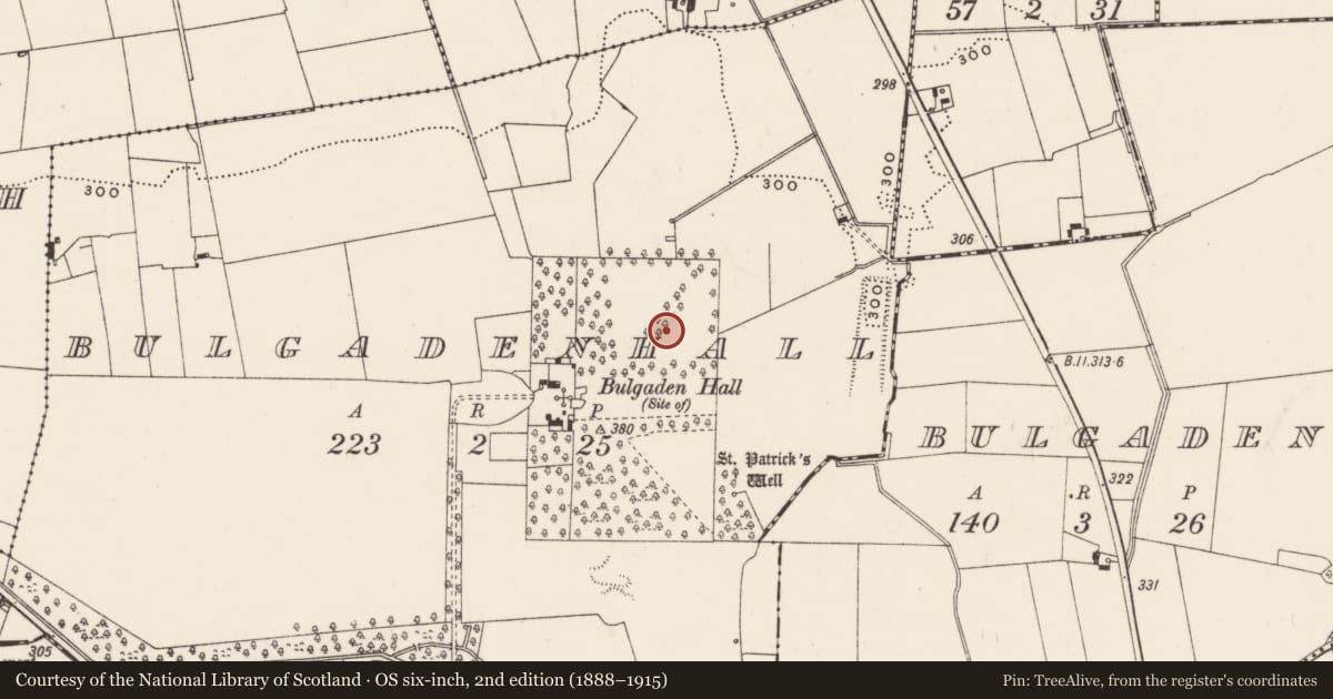 Ordnance Survey six-inch map, 2nd edition (1888–1915) covering the location of Designed landscape - formal garden, Bulgadenhall, County Limerick, with a pin at the register's coordinates