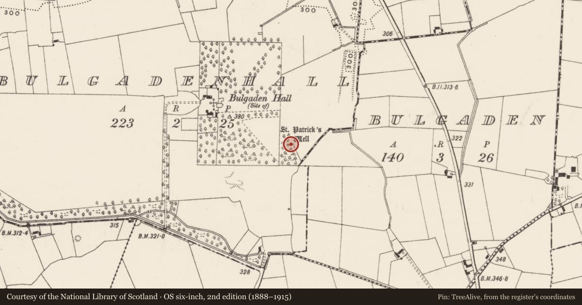 Ordnance Survey six-inch map, 2nd edition (1888–1915) covering the location of Ritual site - holy well, Bulgadenhall, County Limerick, with a pin at the register's coordinates