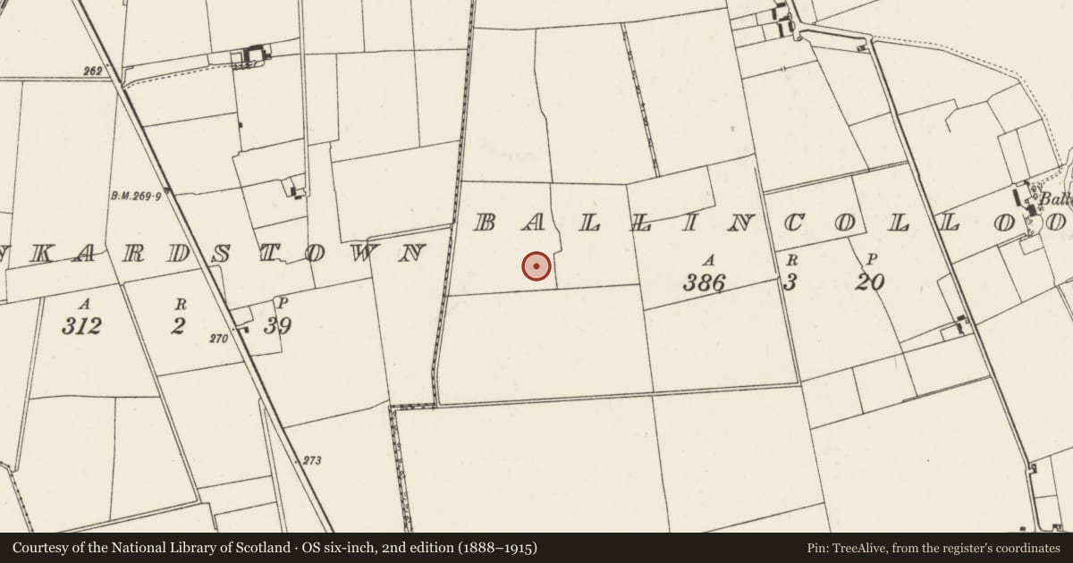 Ordnance Survey six-inch map, 2nd edition (1888–1915) covering the location of Enclosure, Ballincolloo, County Limerick, with a pin at the register's coordinates