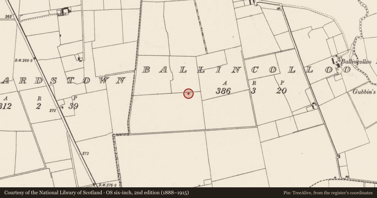 Ordnance Survey six-inch map, 2nd edition (1888–1915) covering the location of Barrow - ditch barrow, Ballincolloo, County Limerick, with a pin at the register's coordinates