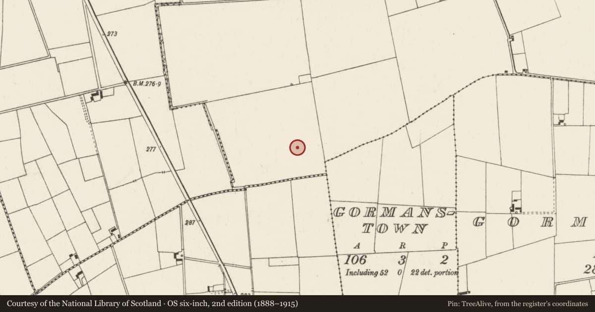 Ordnance Survey six-inch map, 2nd edition (1888–1915) covering the location of Field system, Ballincolloo, County Limerick, with a pin at the register's coordinates
