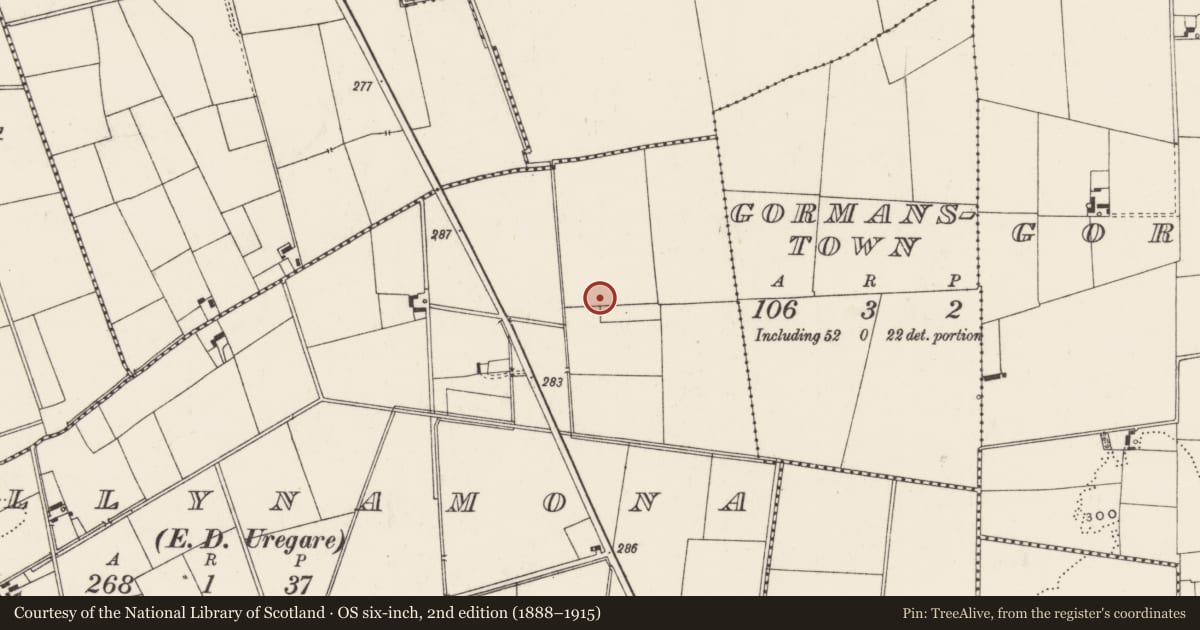 Ordnance Survey six-inch map, 2nd edition (1888–1915) covering the location of Barrow - ring-barrow, Ballynamona, County Limerick, with a pin at the register's coordinates