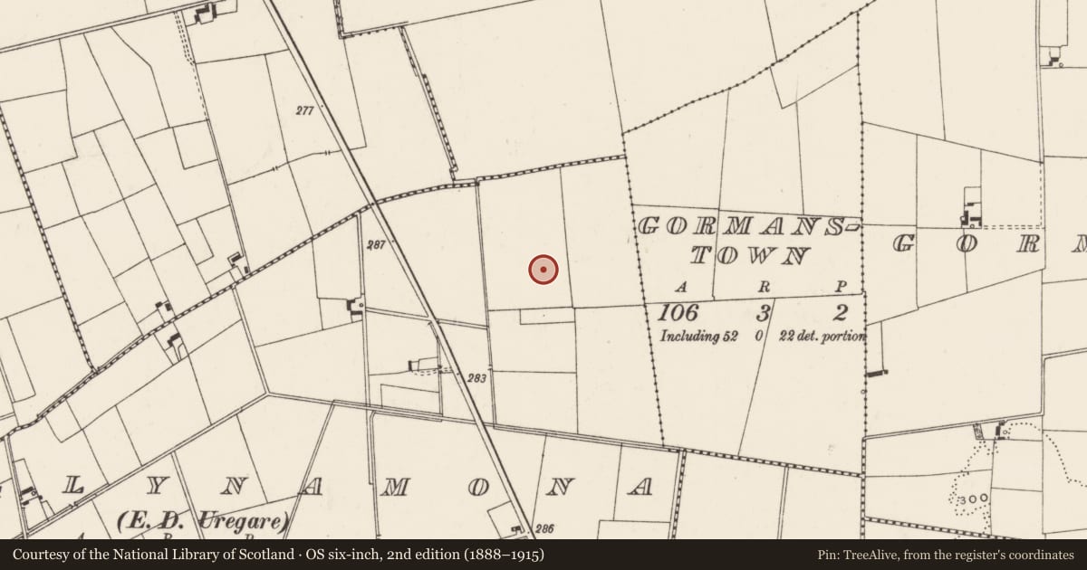 Ordnance Survey six-inch map, 2nd edition (1888–1915) covering the location of Barrow - ring-barrow, Ballynamona, County Limerick, with a pin at the register's coordinates
