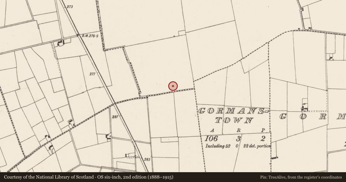 Ordnance Survey six-inch map, 2nd edition (1888–1915) covering the location of Barrow - ring-barrow, Ballincolloo, County Limerick, with a pin at the register's coordinates