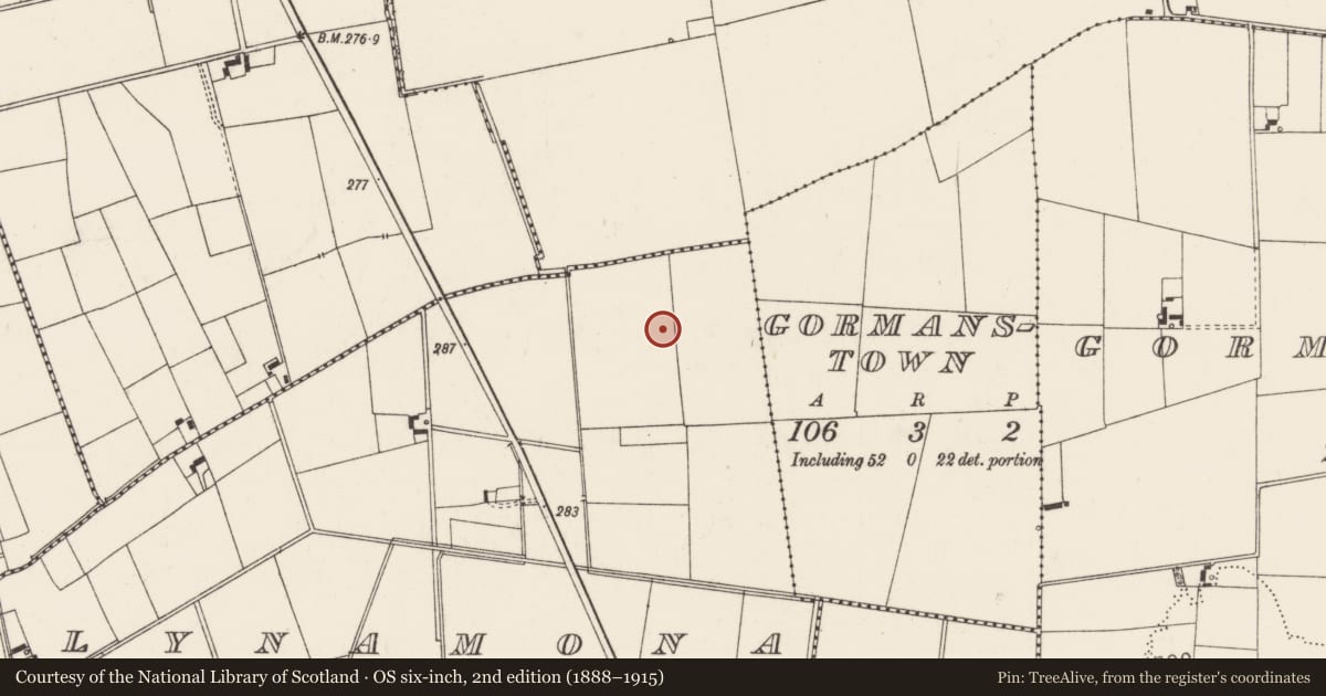 Ordnance Survey six-inch map, 2nd edition (1888–1915) covering the location of Barrow - ditch barrow, Ballynamona, County Limerick, with a pin at the register's coordinates