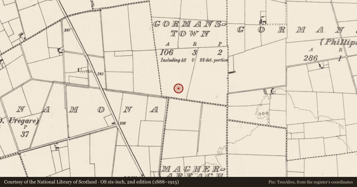 Ordnance Survey six-inch map, 2nd edition (1888–1915) covering the location of Earthwork, Gormanstown, County Limerick, with a pin at the register's coordinates