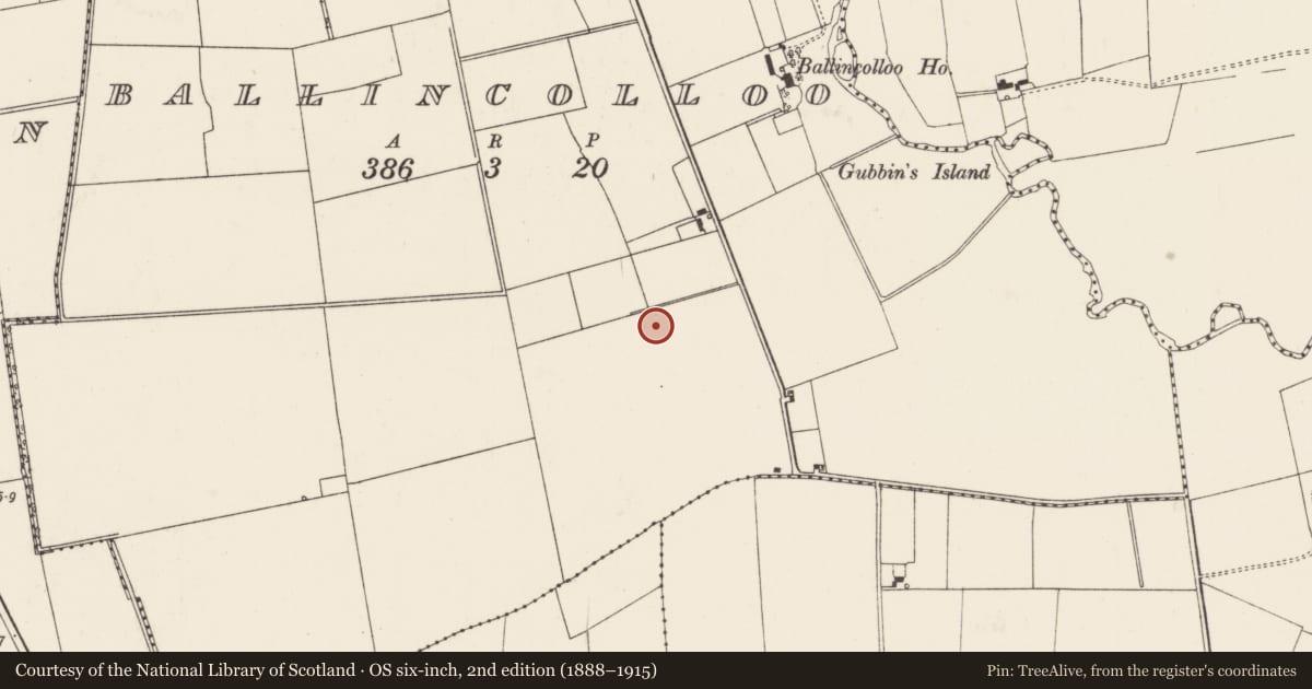 Ordnance Survey six-inch map, 2nd edition (1888–1915) covering the location of Barrow - unclassified, Ballincolloo, County Limerick, with a pin at the register's coordinates