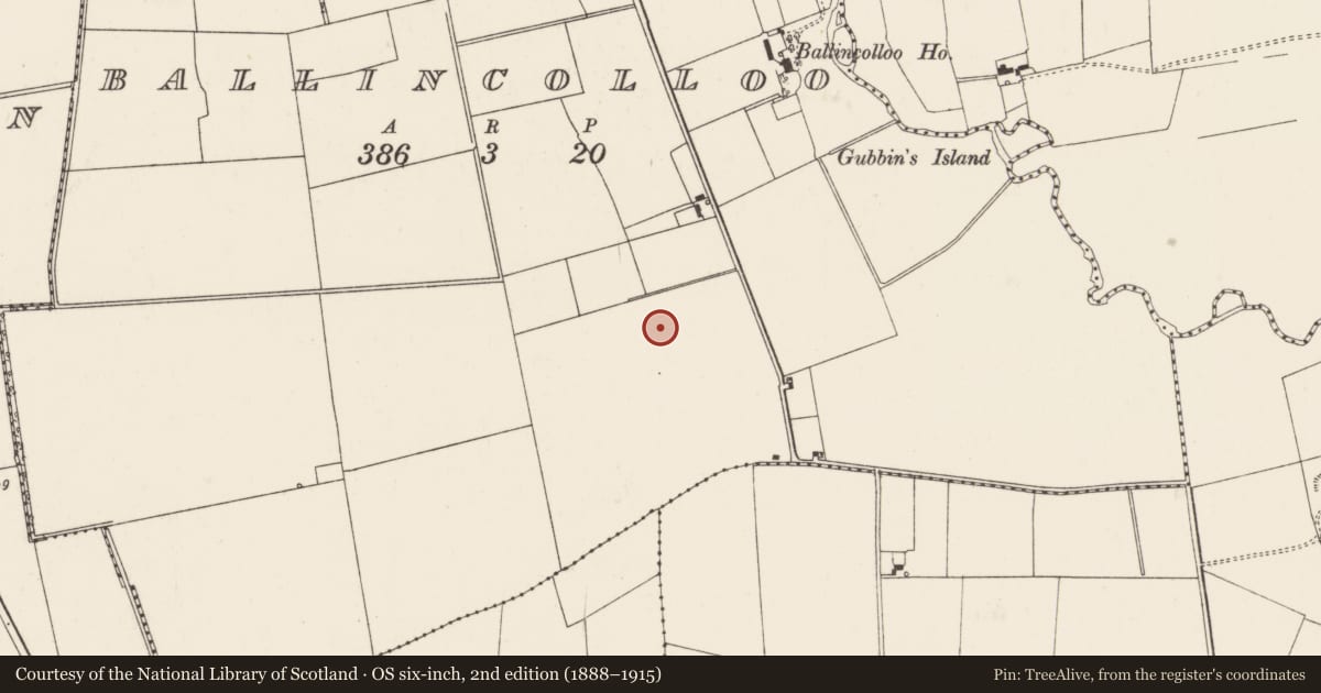 Ordnance Survey six-inch map, 2nd edition (1888–1915) covering the location of Barrow - unclassified, Ballincolloo, County Limerick, with a pin at the register's coordinates