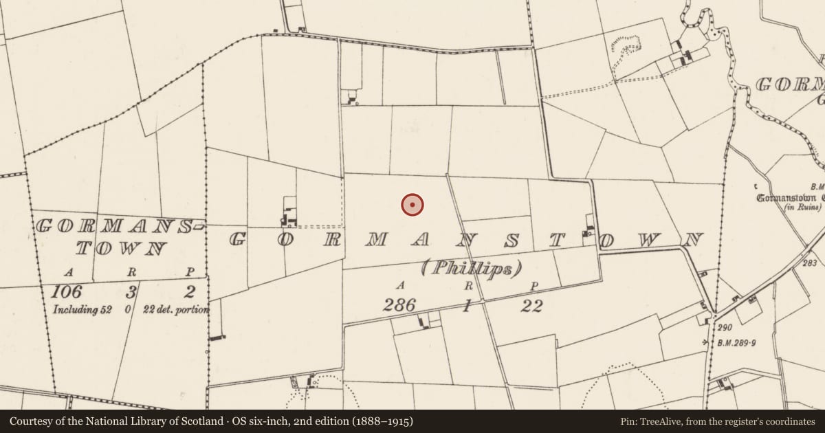 Ordnance Survey six-inch map, 2nd edition (1888–1915) covering the location of Cultivation ridges, Gormanstown (Phillips), County Limerick, with a pin at the register's coordinates