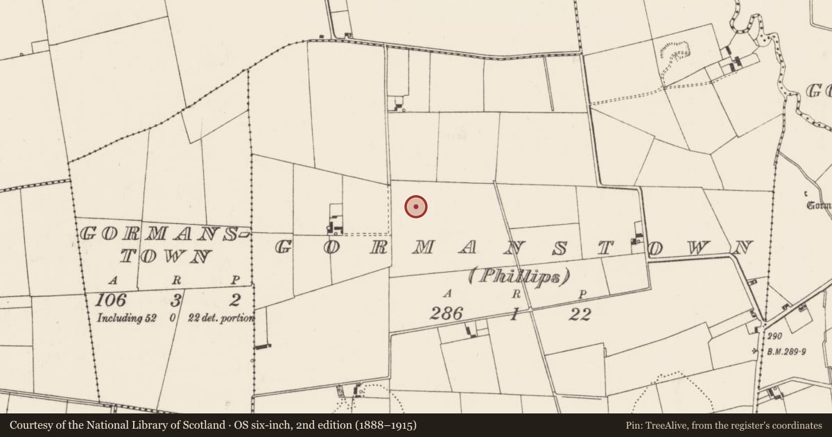 Ordnance Survey six-inch map, 2nd edition (1888–1915) covering the location of Barrow - ditch barrow, Gormanstown (Phillips), County Limerick, with a pin at the register's coordinates