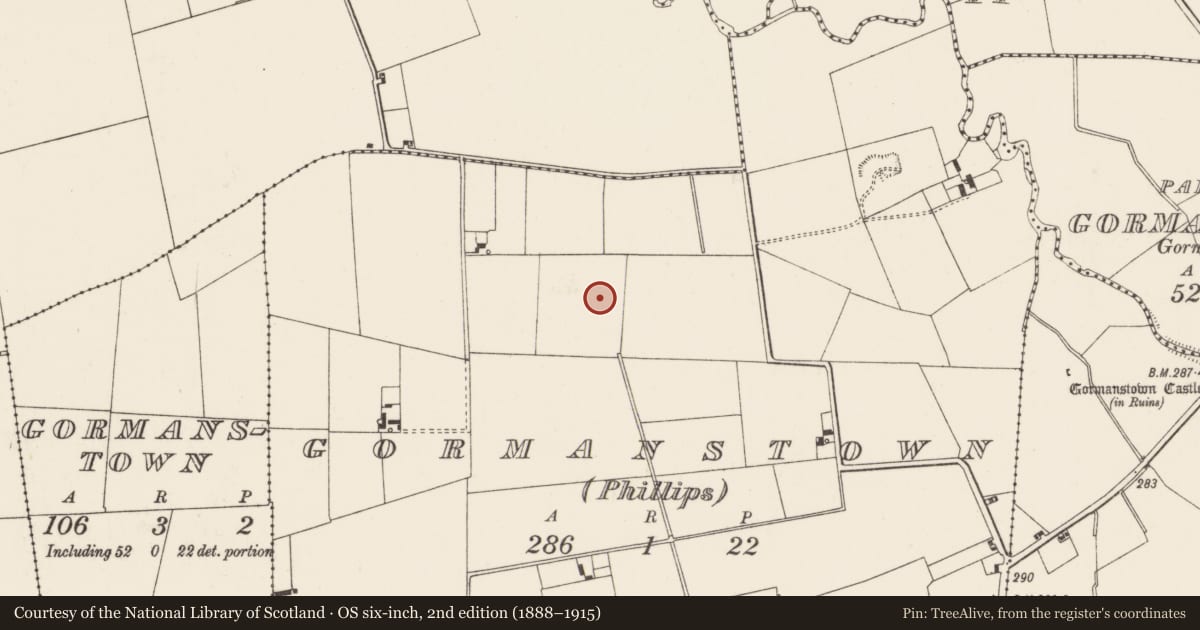 Ordnance Survey six-inch map, 2nd edition (1888–1915) covering the location of Earthwork, Gormanstown (Phillips), County Limerick, with a pin at the register's coordinates