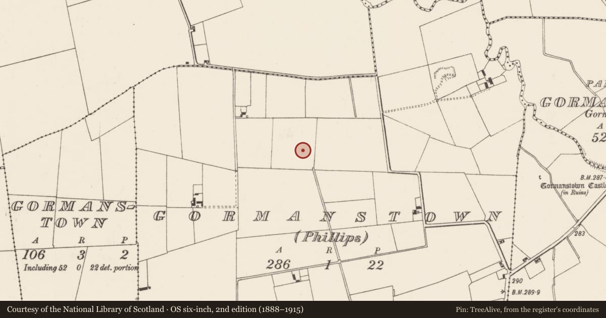 Ordnance Survey six-inch map, 2nd edition (1888–1915) covering the location of Earthwork, Gormanstown (Phillips), County Limerick, with a pin at the register's coordinates