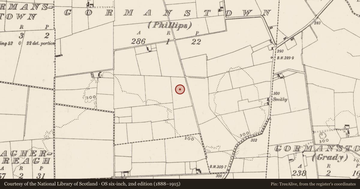 Ordnance Survey six-inch map, 2nd edition (1888–1915) covering the location of Barrow - ditch barrow, Gormanstown (Phillips), County Limerick, with a pin at the register's coordinates