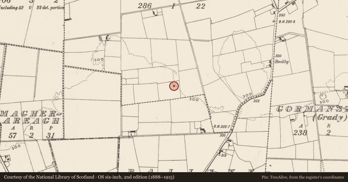 Ordnance Survey six-inch map, 2nd edition (1888–1915) covering the location of Barrow - ditch barrow, Gormanstown (Phillips), County Limerick, with a pin at the register's coordinates