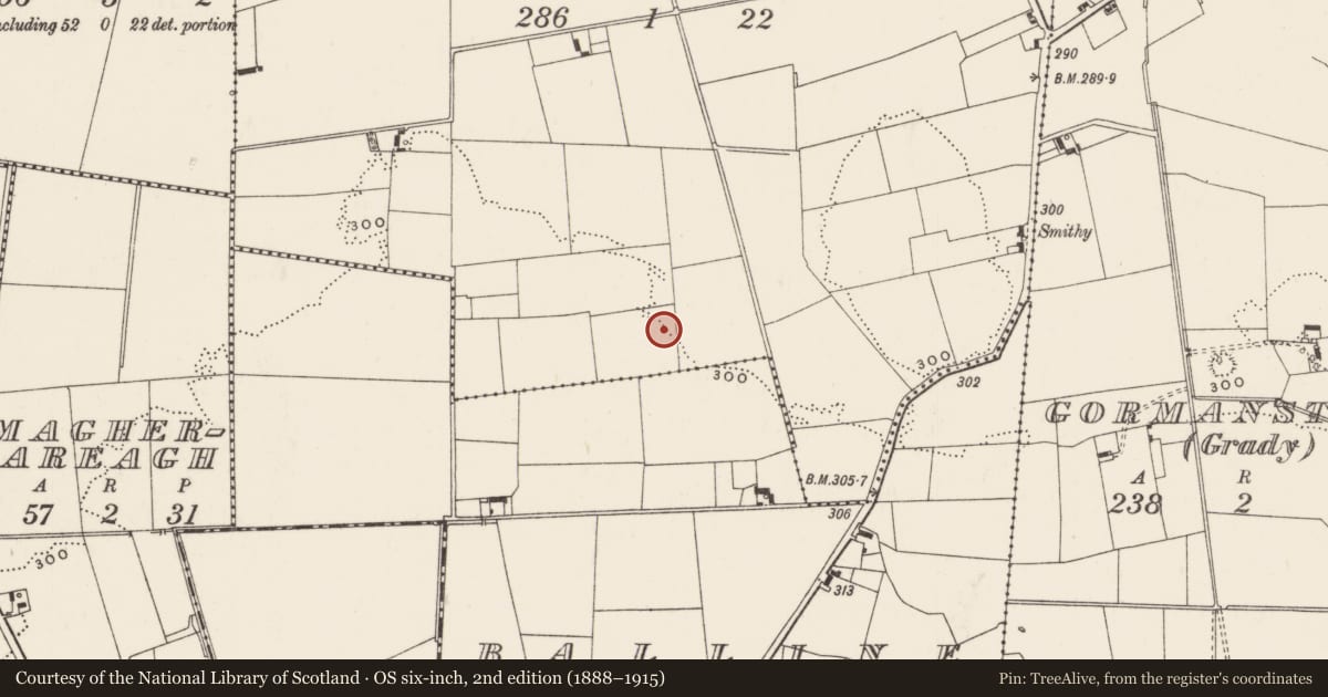 Ordnance Survey six-inch map, 2nd edition (1888–1915) covering the location of Barrow - ditch barrow, Gormanstown (Phillips), County Limerick, with a pin at the register's coordinates