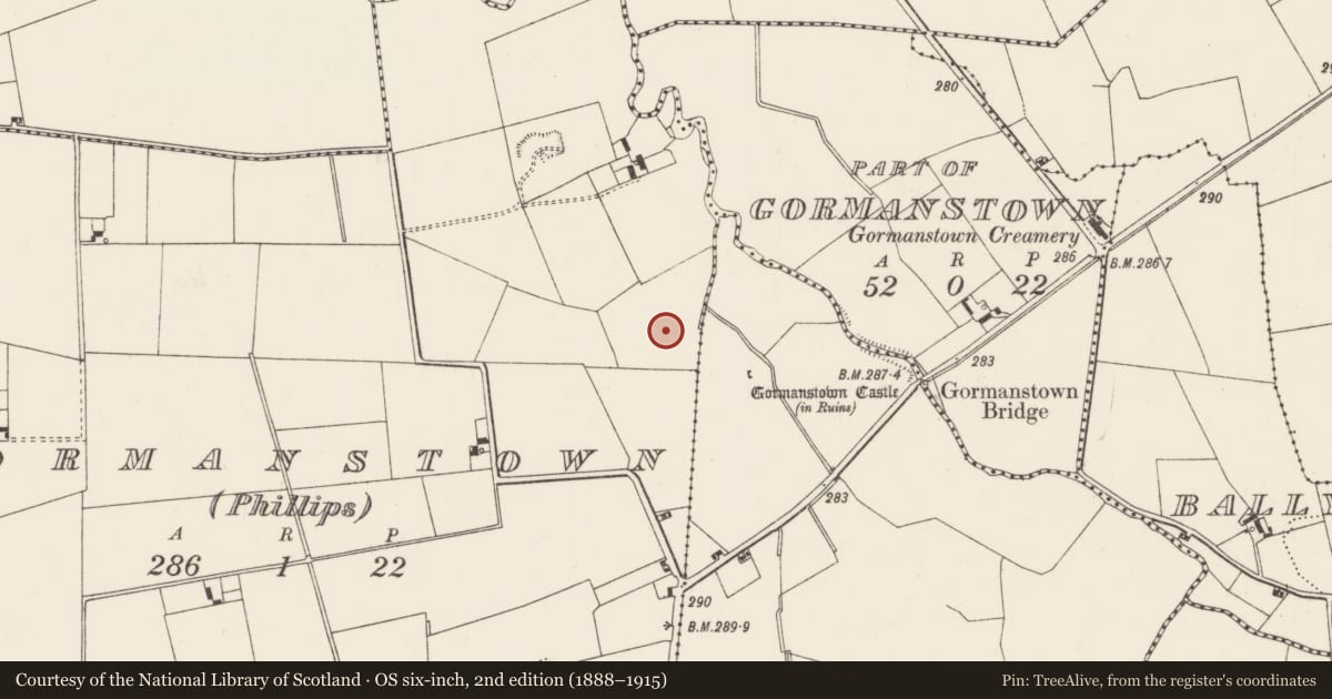 Ordnance Survey six-inch map, 2nd edition (1888–1915) covering the location of Earthwork, Gormanstown (Grady), County Limerick, with a pin at the register's coordinates