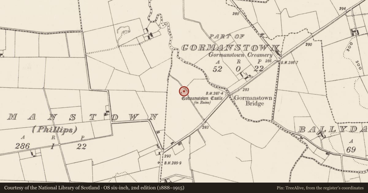 Ordnance Survey six-inch map, 2nd edition (1888–1915) covering the location of Castle - unclassified, Gormanstown (Grady), County Limerick, with a pin at the register's coordinates