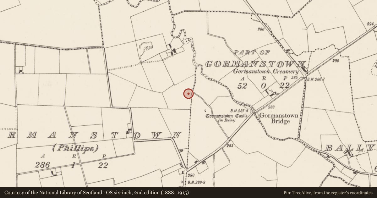 Ordnance Survey six-inch map, 2nd edition (1888–1915) covering the location of Earthwork, Gormanstown (Phillips), County Limerick, with a pin at the register's coordinates