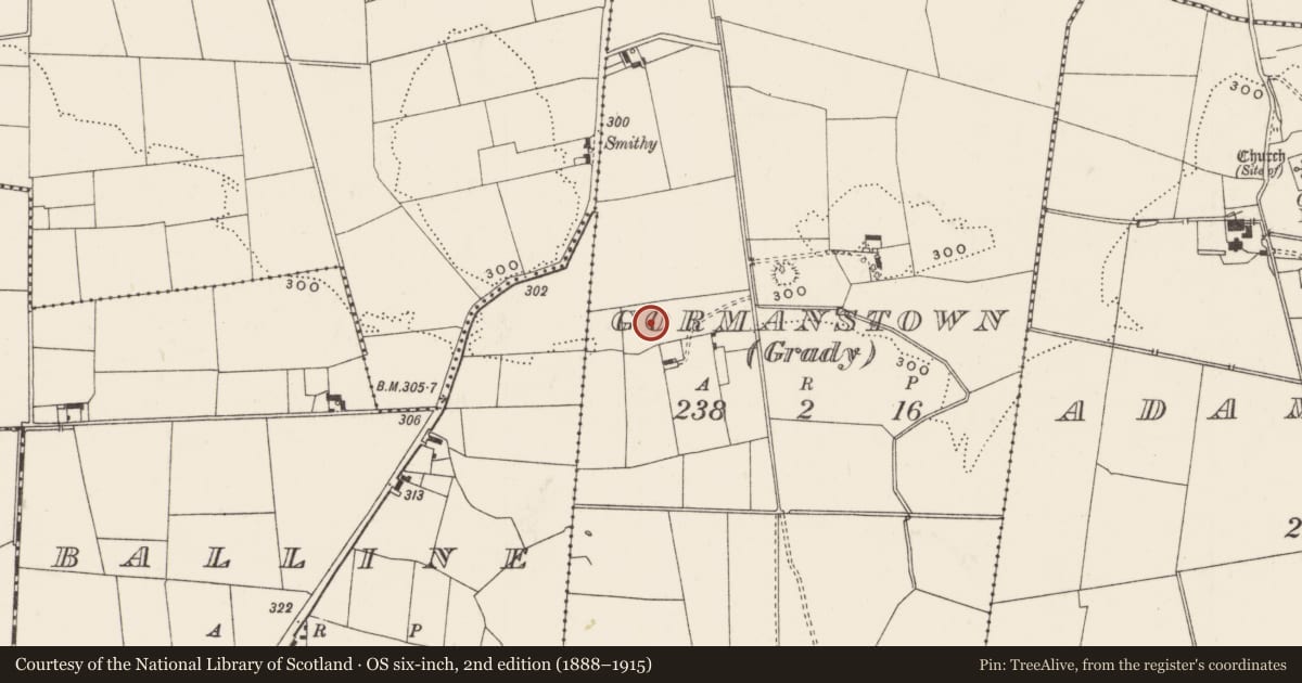 Ordnance Survey six-inch map, 2nd edition (1888–1915) covering the location of Earthwork, Gormanstown (Grady), County Limerick, with a pin at the register's coordinates