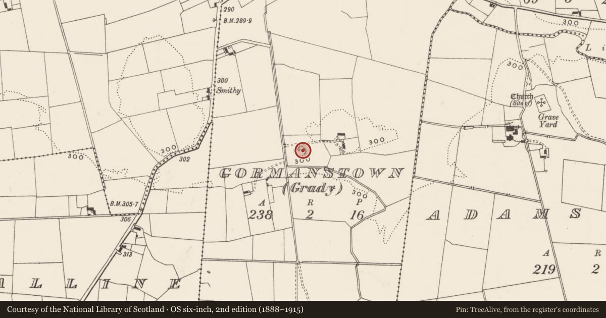 Ordnance Survey six-inch map, 2nd edition (1888–1915) covering the location of Enclosure, Gormanstown (Grady), County Limerick, with a pin at the register's coordinates