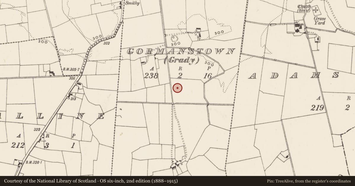 Ordnance Survey six-inch map, 2nd edition (1888–1915) covering the location of Barrow - ditch barrow, Gormanstown (Grady), County Limerick, with a pin at the register's coordinates