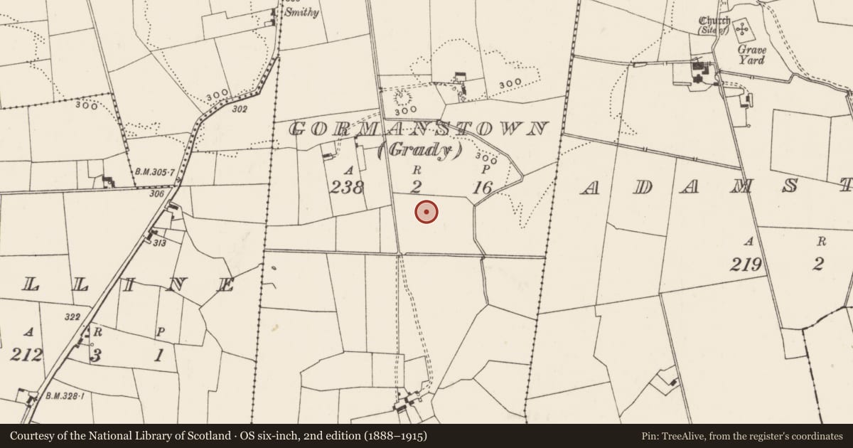 Ordnance Survey six-inch map, 2nd edition (1888–1915) covering the location of Barrow - ditch barrow, Gormanstown (Grady), County Limerick, with a pin at the register's coordinates