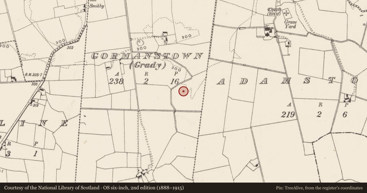 Ordnance Survey six-inch map, 2nd edition (1888–1915) covering the location of Barrow - stepped barrow, Gormanstown (Grady), County Limerick, with a pin at the register's coordinates