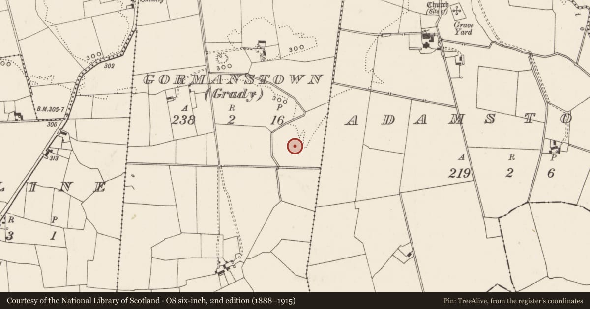 Ordnance Survey six-inch map, 2nd edition (1888–1915) covering the location of Barrow - unclassified, Gormanstown (Grady), County Limerick, with a pin at the register's coordinates