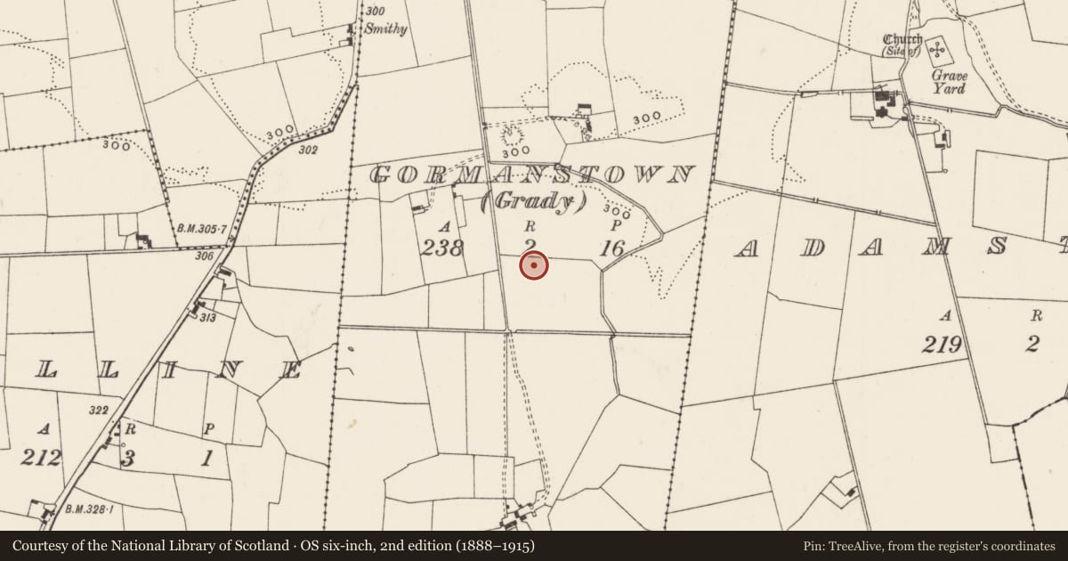 Ordnance Survey six-inch map, 2nd edition (1888–1915) covering the location of Barrow - unclassified, Gormanstown (Grady), County Limerick, with a pin at the register's coordinates