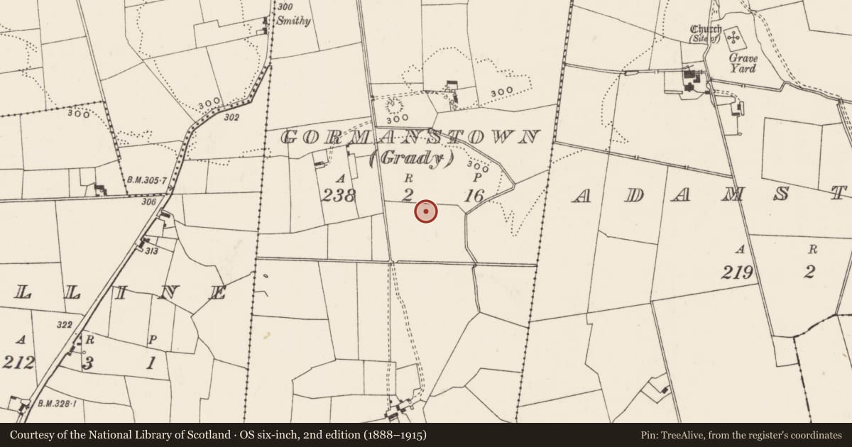 Ordnance Survey six-inch map, 2nd edition (1888–1915) covering the location of Barrow - unclassified, Gormanstown (Grady), County Limerick, with a pin at the register's coordinates