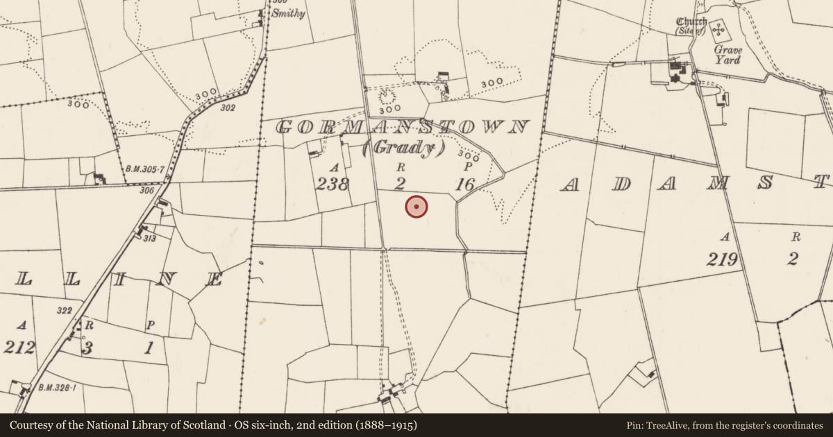Ordnance Survey six-inch map, 2nd edition (1888–1915) covering the location of Barrow - unclassified, Gormanstown (Grady), County Limerick, with a pin at the register's coordinates