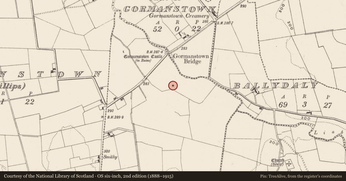 Ordnance Survey six-inch map, 2nd edition (1888–1915) covering the location of Barrow - unclassified, Gormanstown (Grady), County Limerick, with a pin at the register's coordinates