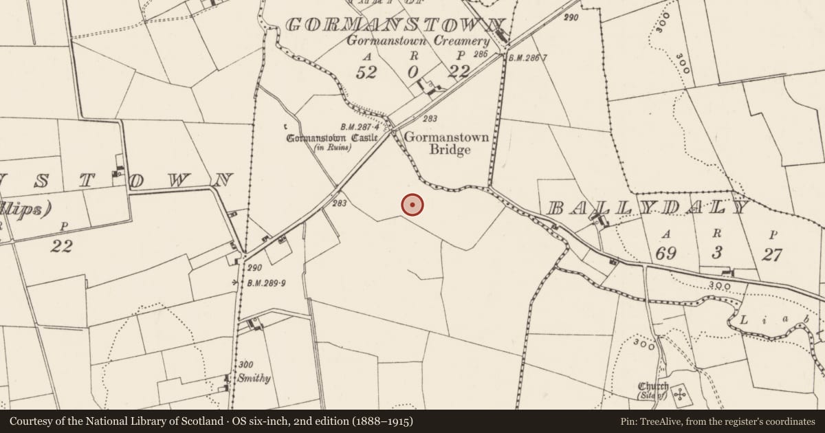 Ordnance Survey six-inch map, 2nd edition (1888–1915) covering the location of Barrow - unclassified, Gormanstown (Grady), County Limerick, with a pin at the register's coordinates