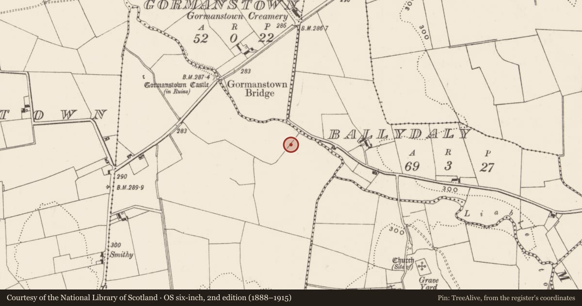 Ordnance Survey six-inch map, 2nd edition (1888–1915) covering the location of Barrow - unclassified, Gormanstown (Grady), County Limerick, with a pin at the register's coordinates