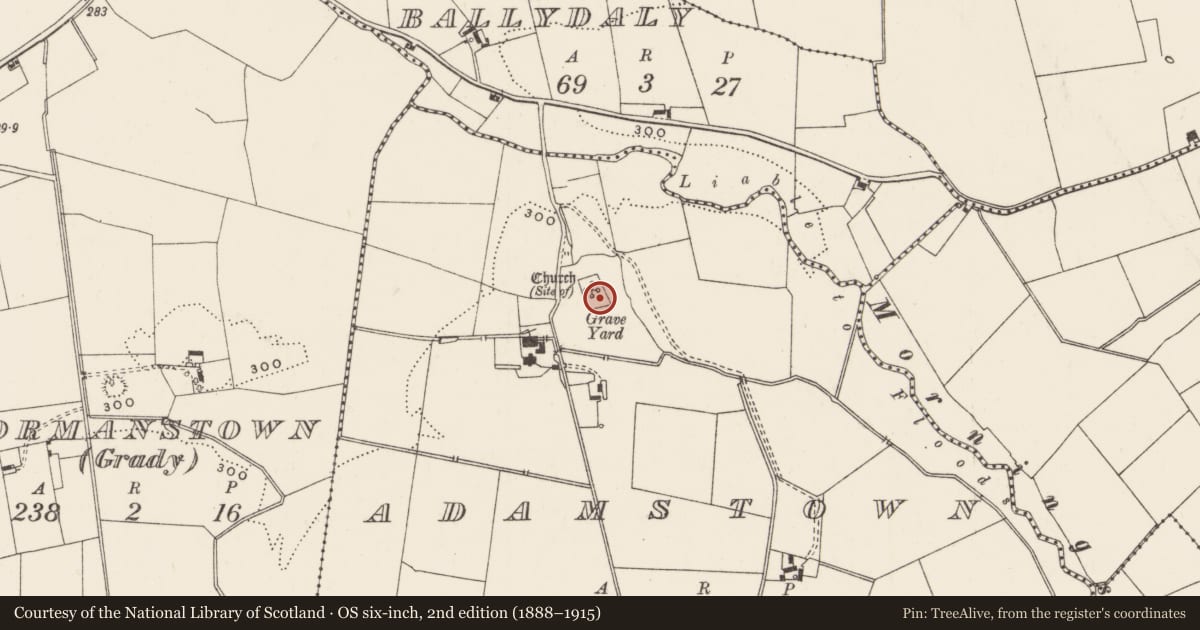 Ordnance Survey six-inch map, 2nd edition (1888–1915) covering the location of Graveyard, Adamstown, County Limerick, with a pin at the register's coordinates