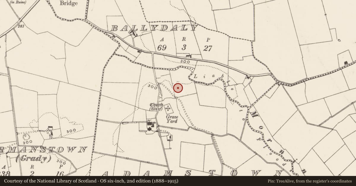 Ordnance Survey six-inch map, 2nd edition (1888–1915) covering the location of Earthwork, Adamstown, County Limerick, with a pin at the register's coordinates
