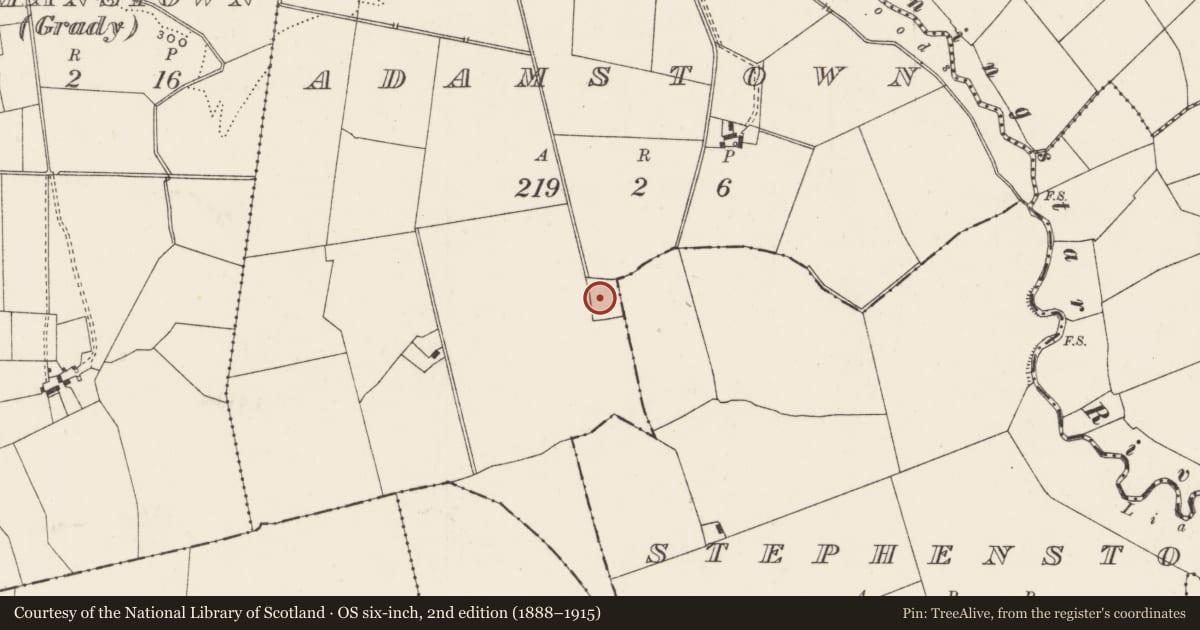 Ordnance Survey six-inch map, 2nd edition (1888–1915) covering the location of Enclosure, Adamstown, County Limerick, with a pin at the register's coordinates